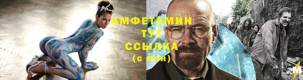 PSILOCYBIN Алзамай