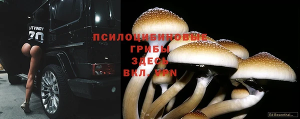 прущий лед Алексеевка