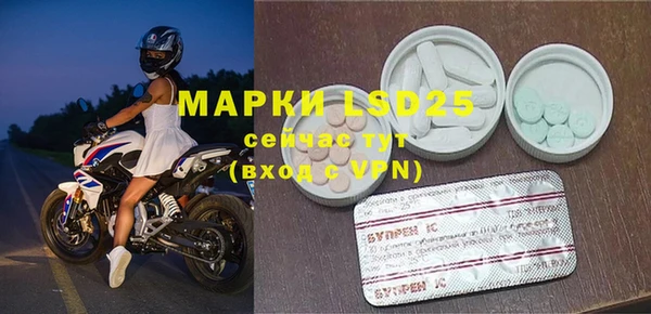PSILOCYBIN Алзамай