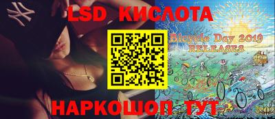 PSILOCYBIN Гатчина