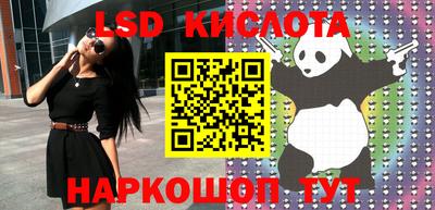 PSILOCYBIN Гатчина