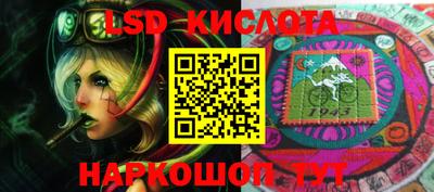 PSILOCYBIN Гатчина