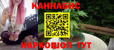 PSILOCYBIN Гатчина
