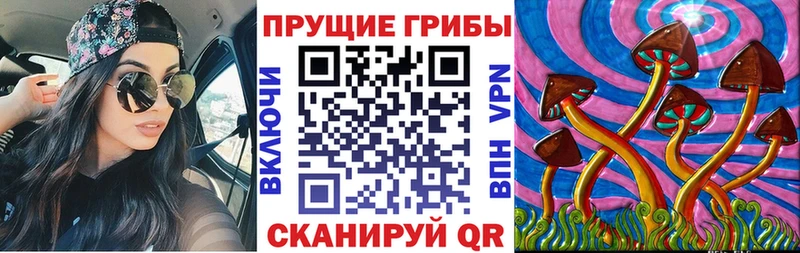 Псилоцибиновые грибы Psilocybine cubensis  площадка состав  Майкоп 