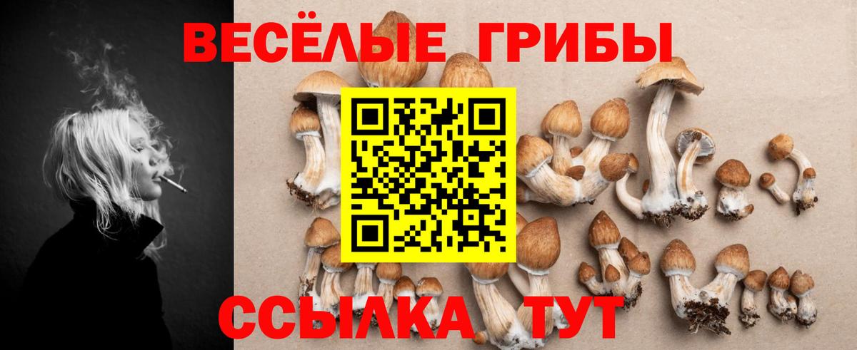 Галлюциногенные грибы прущие грибы Майкоп